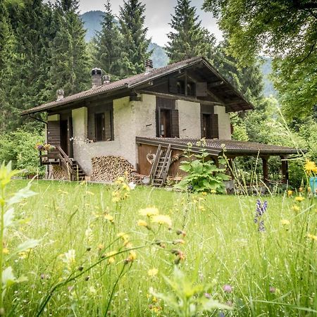 Chalet Silenthia Villa Lenzumo di Concei Eksteriør billede