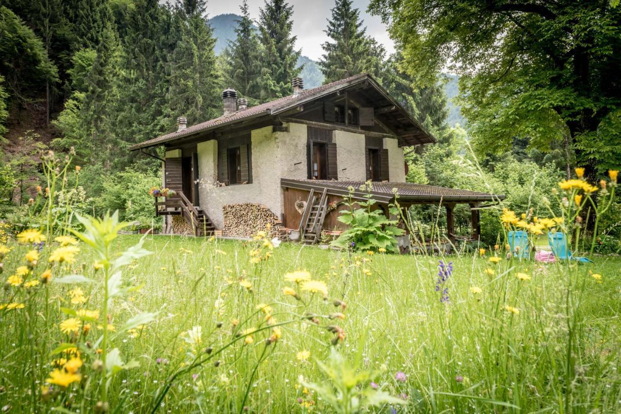 Chalet Silenthia Villa Lenzumo di Concei Eksteriør billede