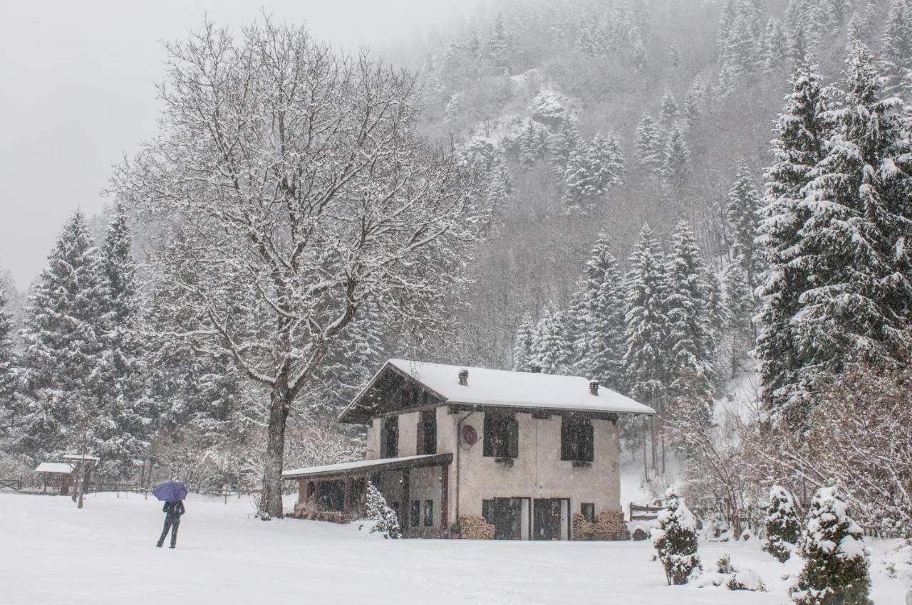 Chalet Silenthia Villa Lenzumo di Concei Eksteriør billede